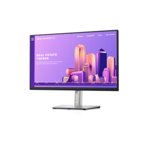 DELL P2422H MONITOR 23.8 210-AZYX A