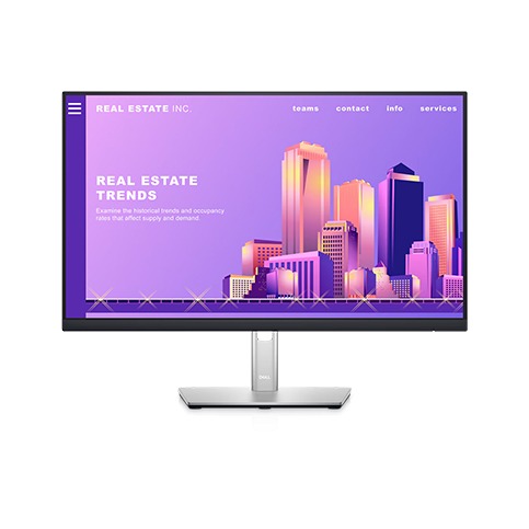 DELL P2422H MONITOR 23.8" (210-AZYX)